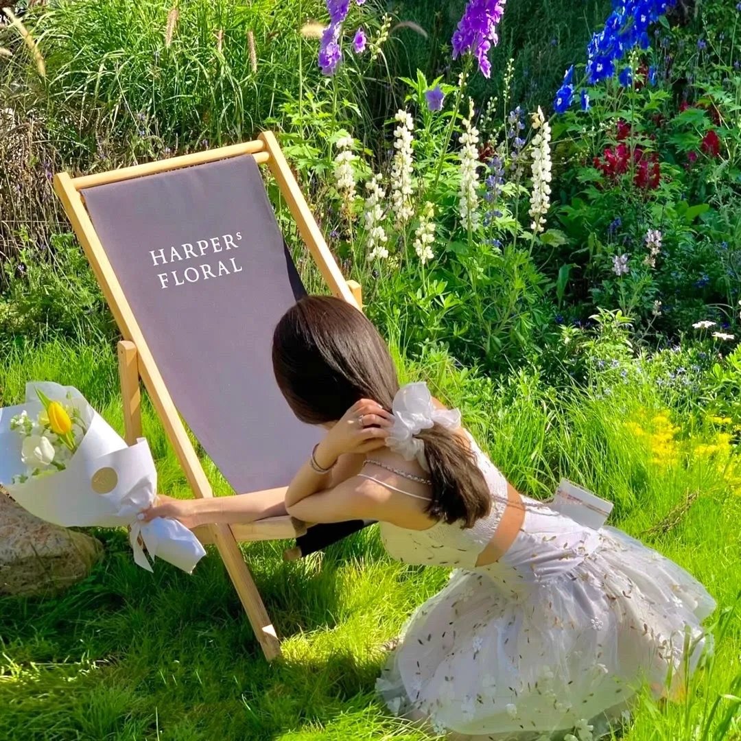 马小乐之玩具也疯狂